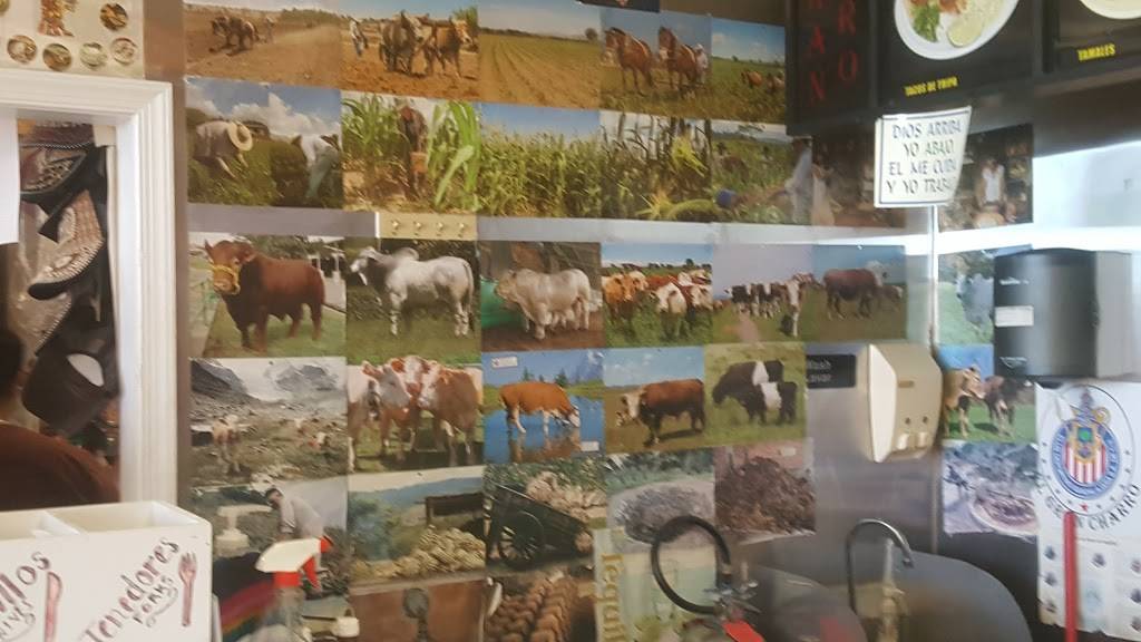 El Charro Mexican Store | restaurant | 6 College Park Ln #6, Georgetown, DE 19947, USA | 3028566617 OR +1 302-856-6617