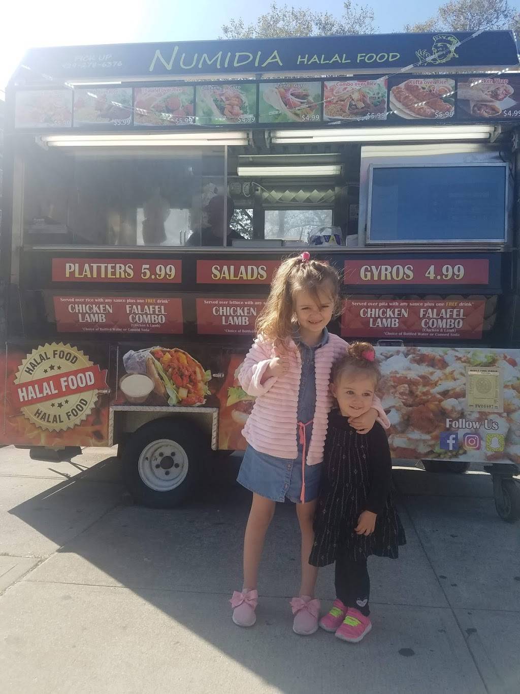 Halal gyro | restaurant | Hillside Av/175 St, Queens, NY 11432, USA | 9292786376 OR +1 929-278-6376