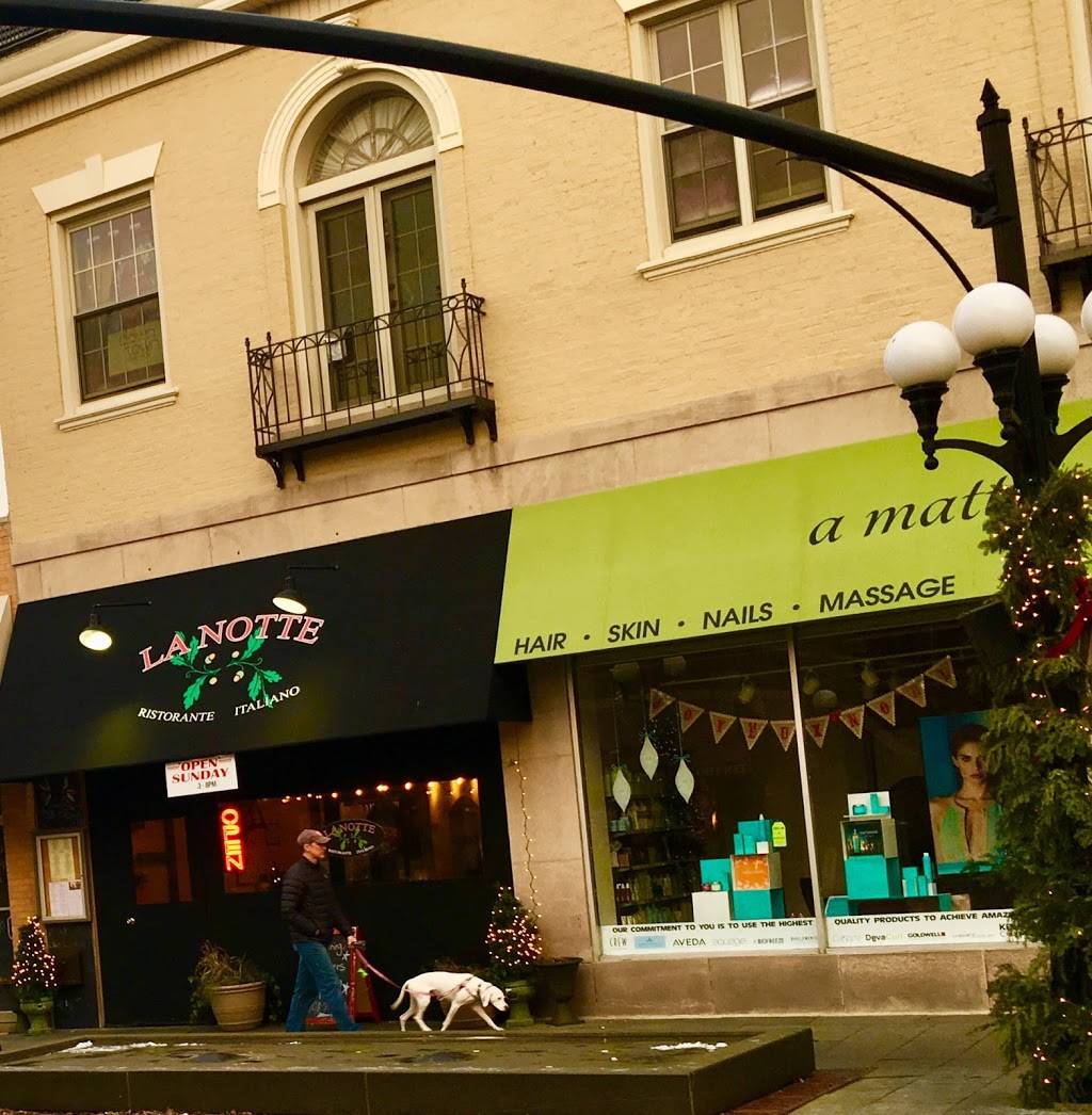 La Notte Ristorante Italiano | restaurant | 118 N Marion St, Oak Park, IL 60301, USA | 7089487576 OR +1 708-948-7576