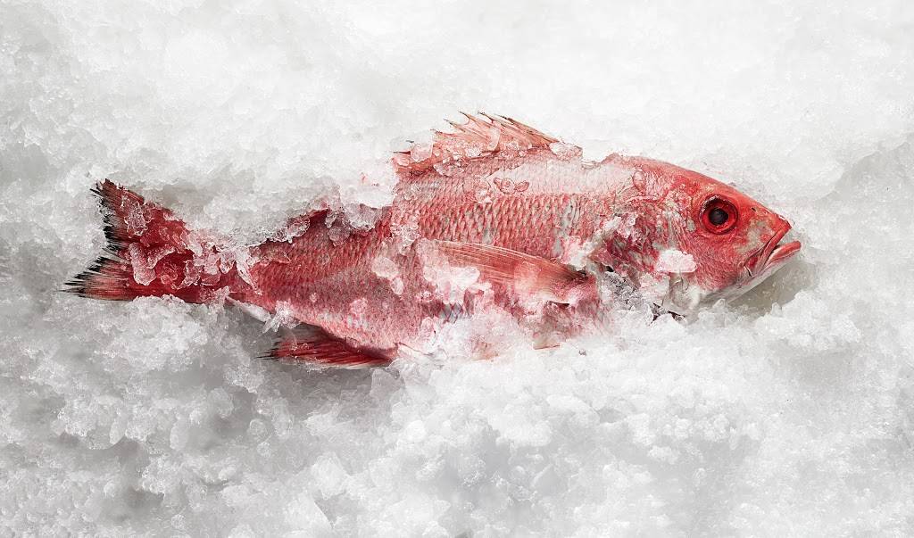 Eighth & English | Seafood, Raw Bar, Wine & Pasta | restaurant | 2038 Madison Rd, Cincinnati, OH 45208, USA | 5133867383 OR +1 513-386-7383