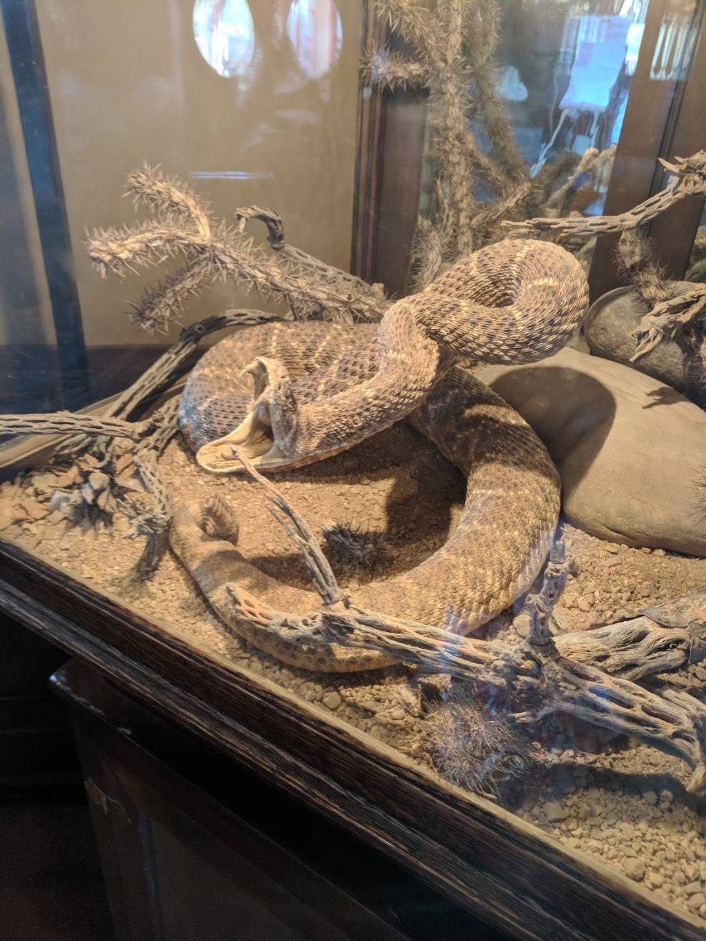 Rawhide Steakhouse | restaurant | 5700 W North Loop Rd, Chandler, AZ 85226, USA | 4805025600 OR +1 480-502-5600