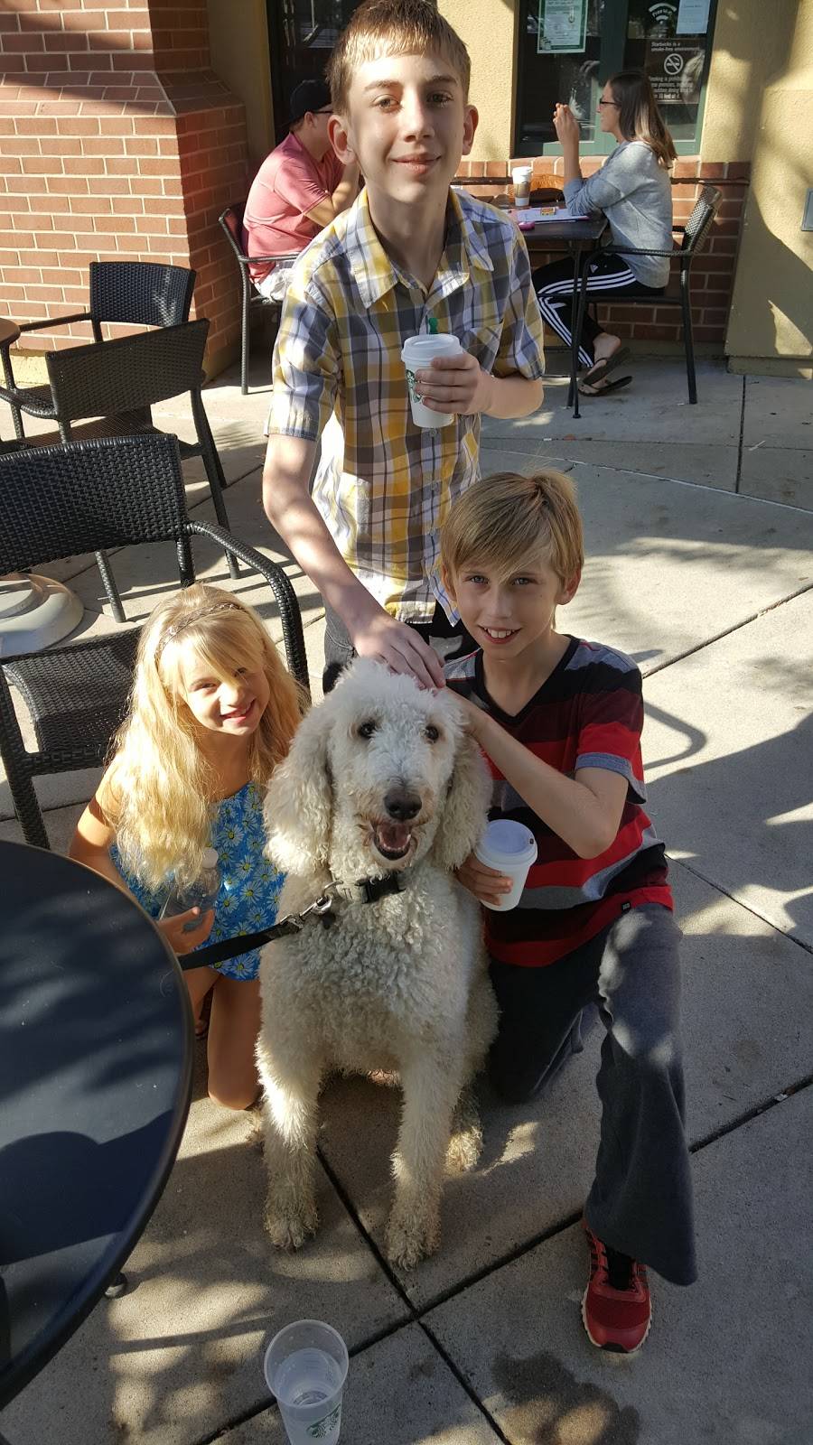 Starbucks | cafe | 9289 Elk Grove Blvd, Elk Grove, CA 95624, USA | 9167145901 OR +1 916-714-5901