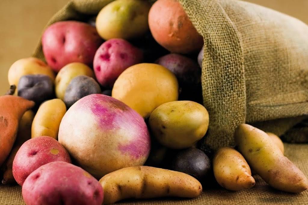 El Rocoto Stamford Restaurant Bar Exit 9 | restaurant | 1209 E Main St, Stamford, CT 06902, USA | 2038183225 OR +1 203-818-3225