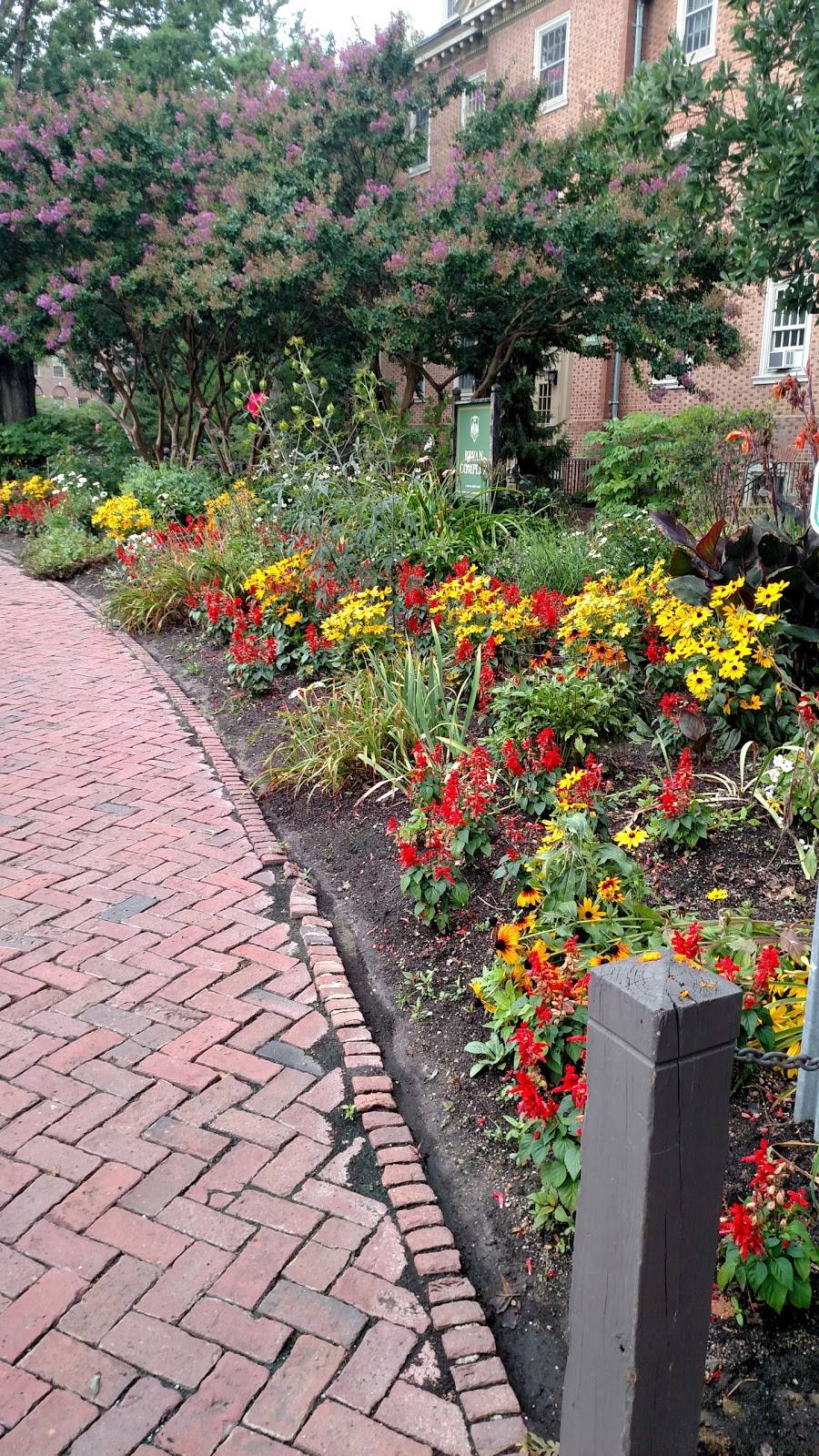 Wawa | cafe | 315 Richmond Rd, Williamsburg, VA 23185, USA | 7572581322 OR +1 757-258-1322