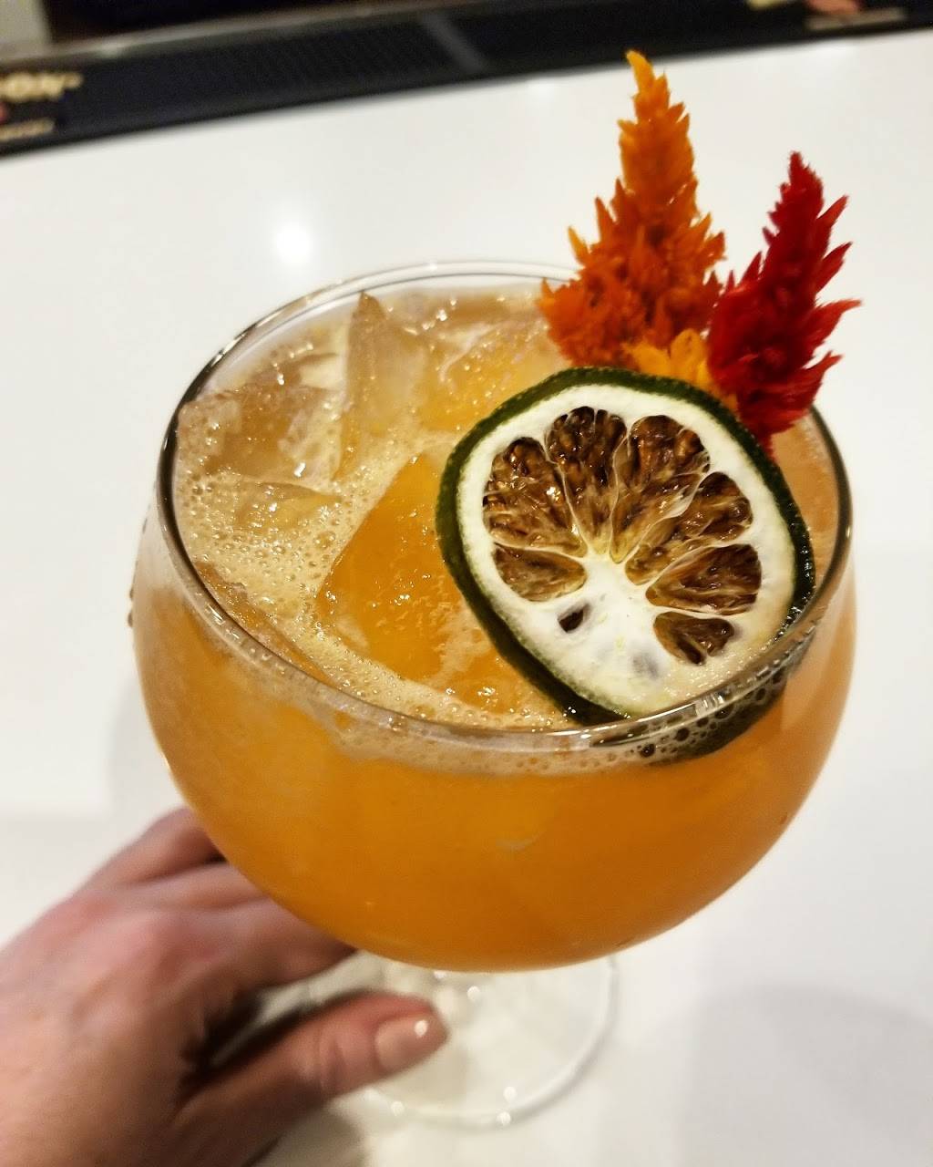 The Vanguard | restaurant | 6319 Guilford Ave, Indianapolis, IN 46220, USA | 3172541147 OR +1 317-254-1147