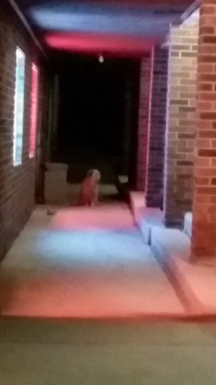 Big Dawgz | restaurant | 7189N N Main St, Camden, OH 45311, USA | 9374527331 OR +1 937-452-7331