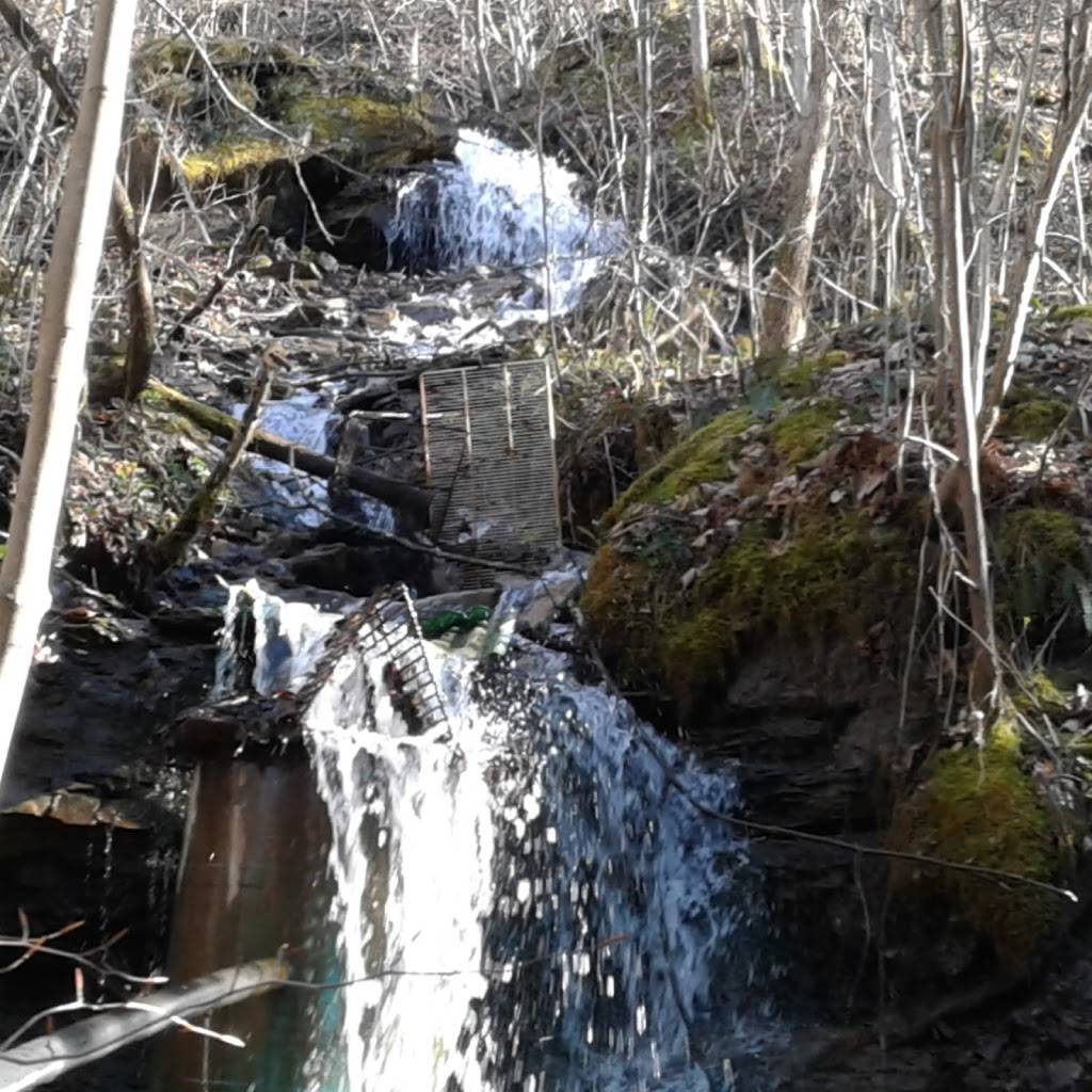 McDonalds | cafe | 3875 Charleston Rd, Ripley, WV 25271, USA | 3043726725 OR +1 304-372-6725