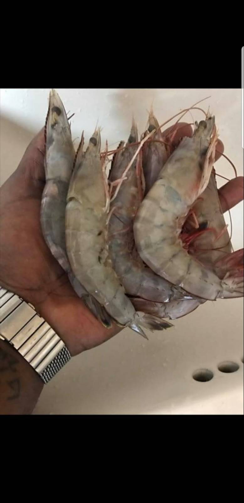 The Boiling Spot | restaurant | 273 Rees St, Breaux Bridge, LA 70517, USA | 3374421238 OR +1 337-442-1238