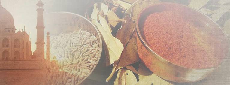 Tandoor Fine Indian Cuisine | restaurant | 6300 N Wickham Rd #122, Melbourne, FL 32940, USA | 3216226990 OR +1 321-622-6990