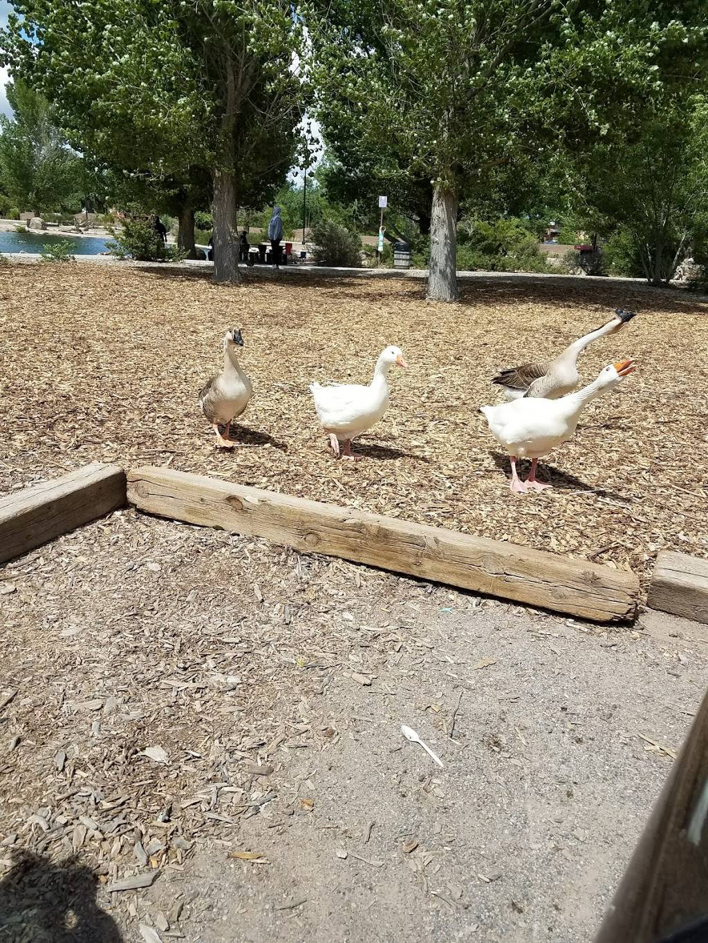 Golden Pride | restaurant | 5231 Central Ave NW, Albuquerque, NM 87105, USA | 5058361544 OR +1 505-836-1544