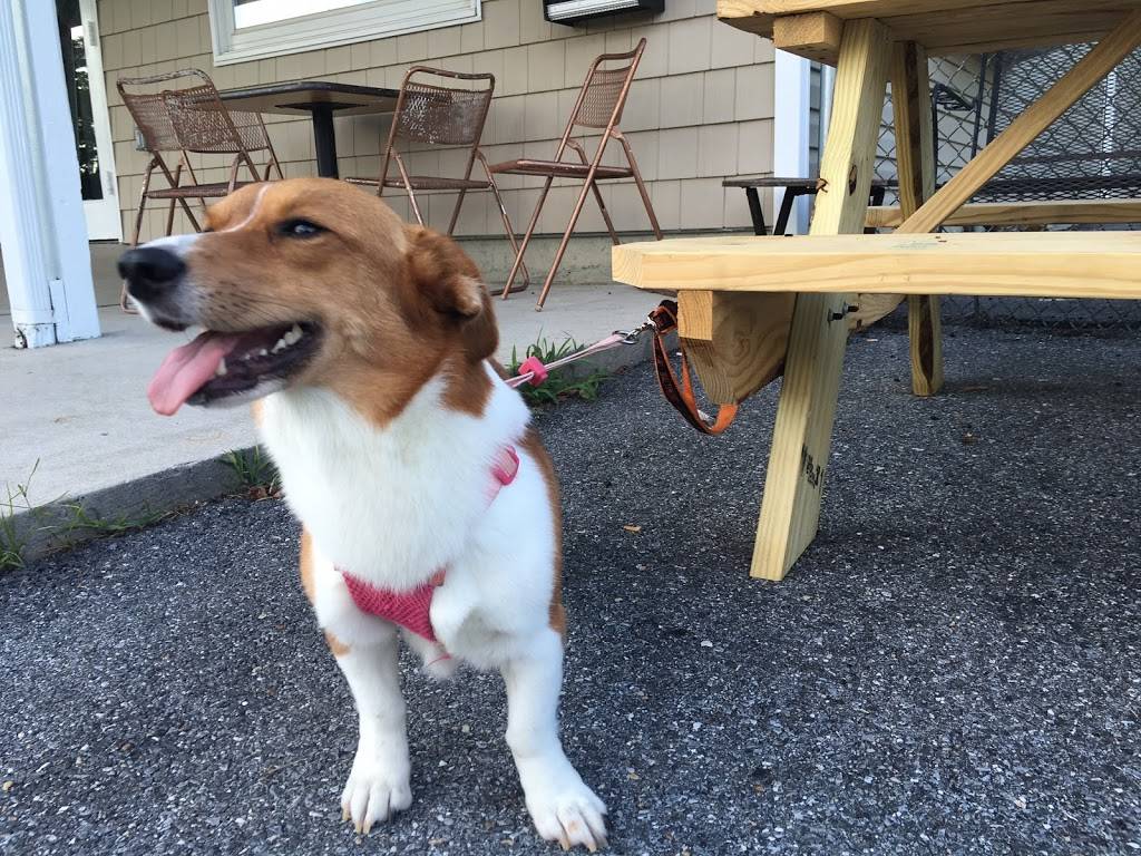 Wielands BBQ | restaurant | 821 Frederick Rd, Catonsville, MD 21228, USA | 4105931245 OR +1 410-593-1245