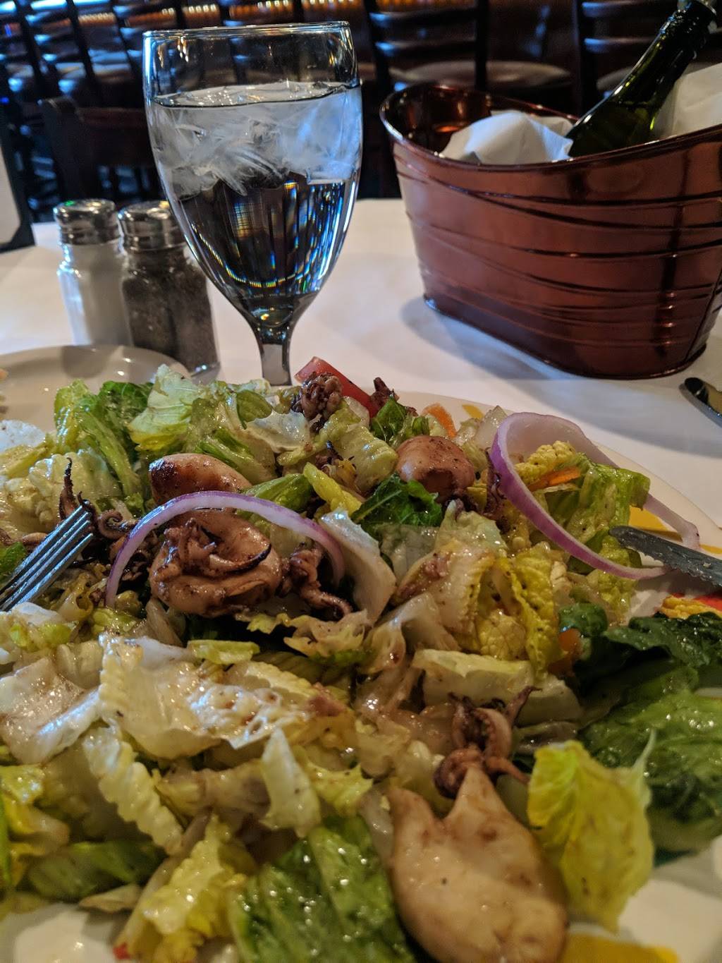 Abruzzos Italian Restaurant | restaurant | 1509 Division St, Melrose Park, IL 60160, USA | 7083432255 OR +1 708-343-2255