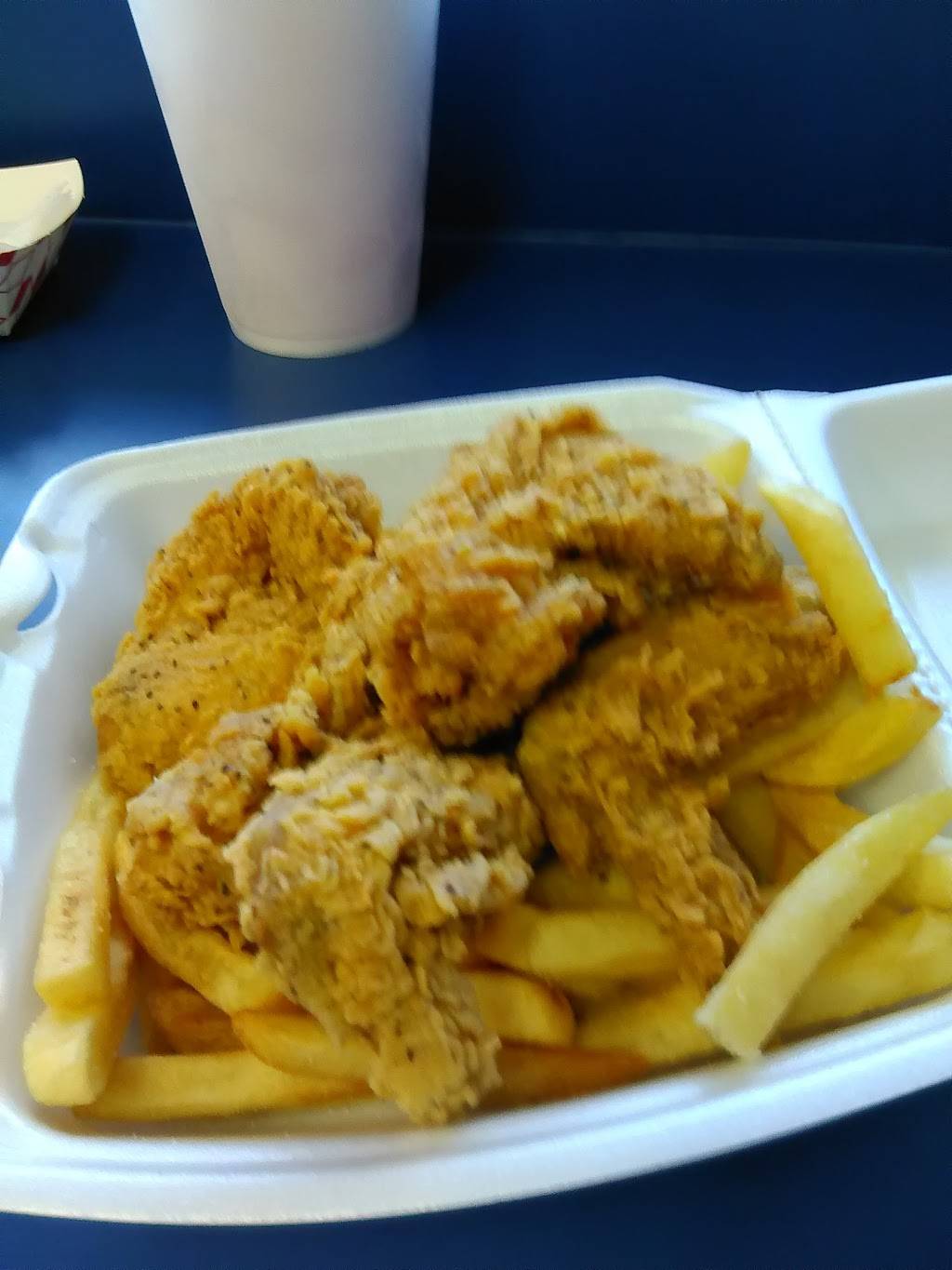 Terrys Seafood And Chicken | restaurant | 1805 Airport Blvd, Austin, TX 78702, USA | 5124773237 OR +1 512-477-3237