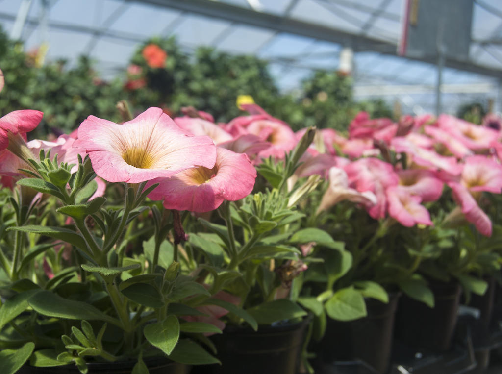 Andersons Newport News | cafe | 11250 Jefferson Ave, Newport News, VA 23601, USA | 7575993510 OR +1 757-599-3510