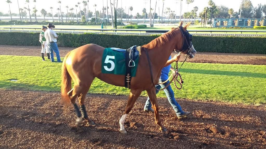 Los Alamitos Race Course | restaurant | 4961 Katella Ave, Cypress, CA 90720, USA | 7148202800 OR +1 714-820-2800