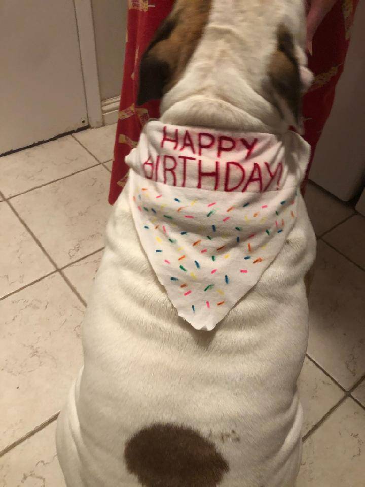 Woodees | restaurant | 6819 Washington Ave, Ocean Springs, MS 39564, USA | 6625906279 OR +1 662-590-6279