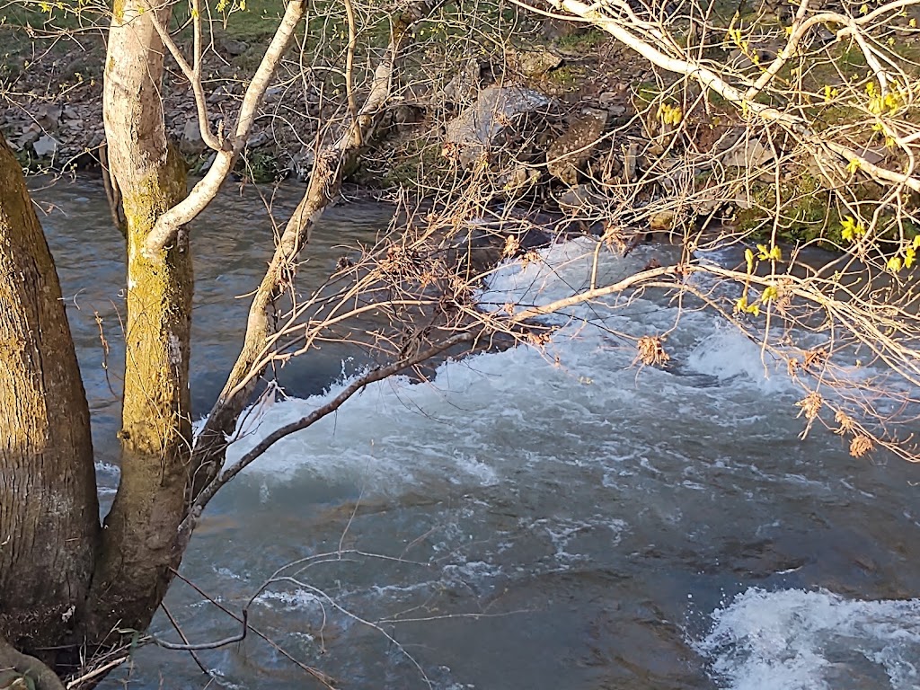 West Tubing Company | restaurant | 6175 Old Hwy 64 W, Warne, NC 28909, USA | 8283898823 OR +1 828-389-8823