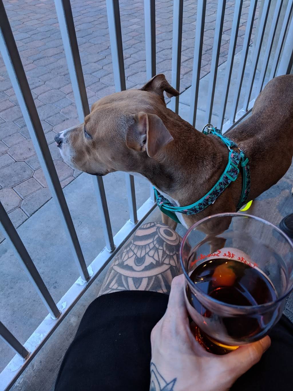 La Quinta Brewing Co - Palm Springs Taproom | restaurant | 301 N Palm Canyon Dr #100, Palm Springs, CA 92262, USA | 7603202597 OR +1 760-320-2597