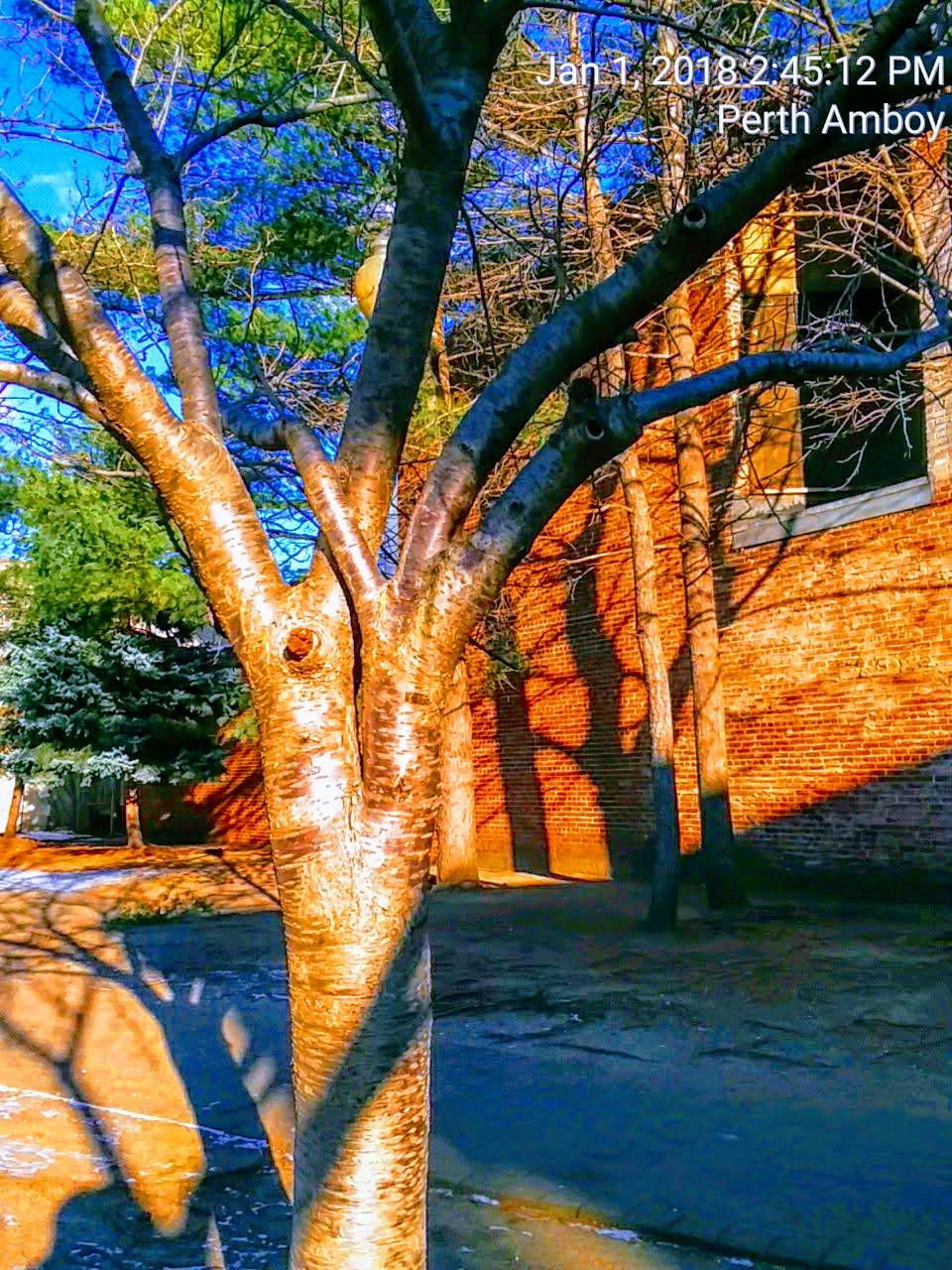 Hawaii Express | restaurant | 288 Madison Ave, Perth Amboy, NJ 08861, USA | 7323248020 OR +1 732-324-8020