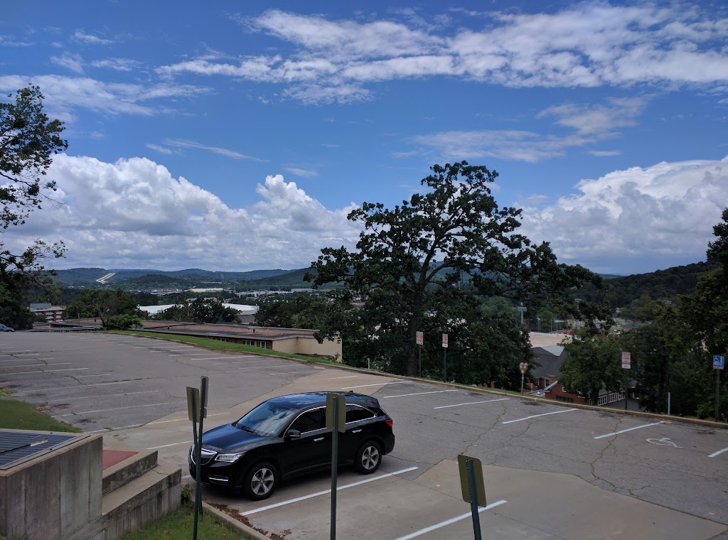 Slim Chickens | restaurant | 1050 W Dickson St, Fayetteville, AR 72701, USA | 4795757125 OR +1 479-575-7125