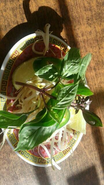 Pho 99 | restaurant | 3141 E McKinley Ave, Fresno, CA 93703, USA | 5594851233 OR +1 559-485-1233