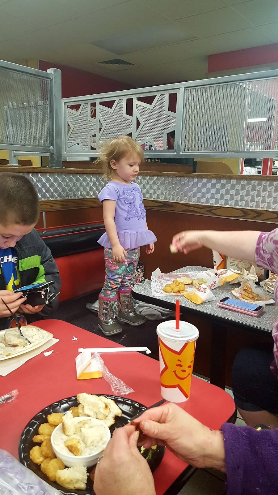 Hardees | restaurant | 1500 E Morgan St, Kokomo, IN 46901, USA | 7654563140 OR +1 765-456-3140