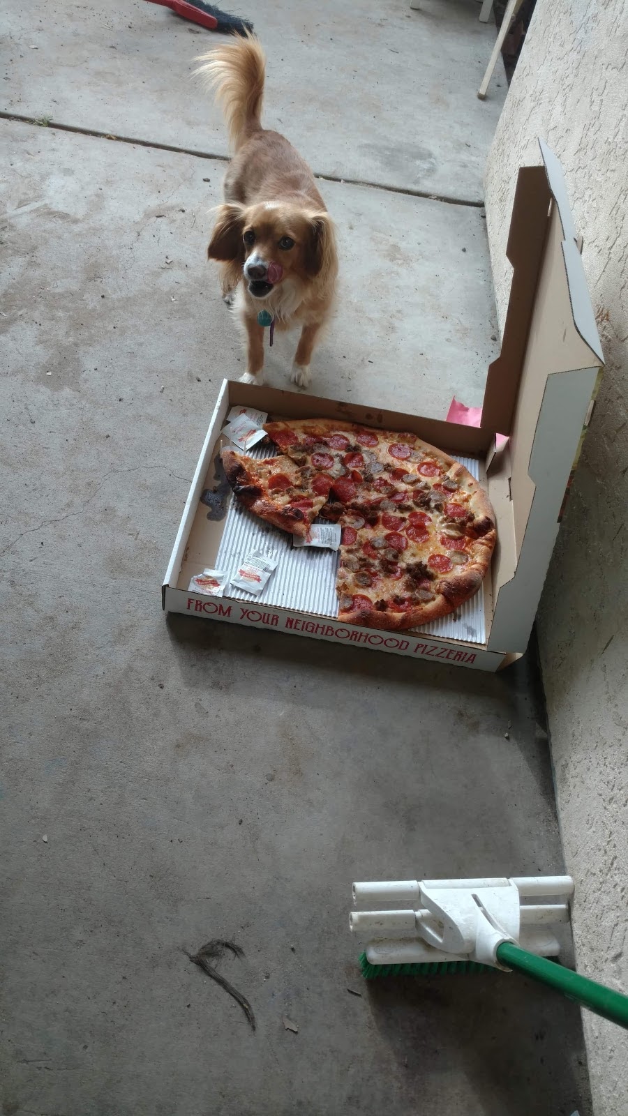 Gabriellas New York City Pizza | restaurant | 6784 El Cajon Blvd J, San Diego, CA 92115, USA | 6197131111 OR +1 619-713-1111