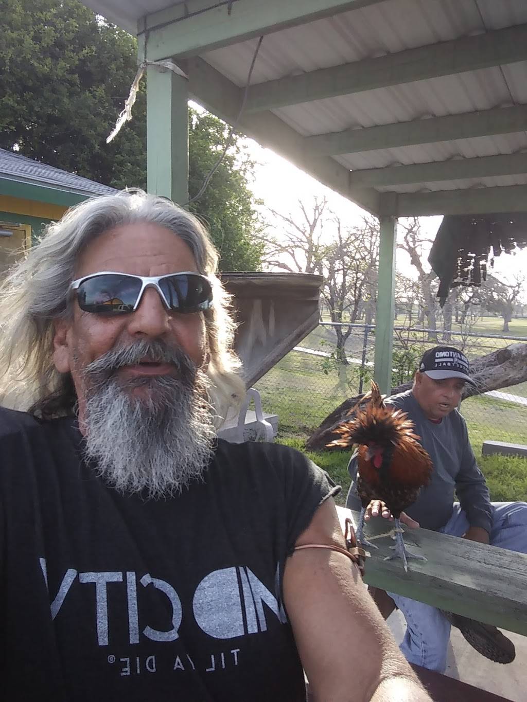 Tee Time Sports Bar | restaurant | 1805 Roosevelt Ave, San Antonio, TX 78210, USA | 2105342581 OR +1 210-534-2581