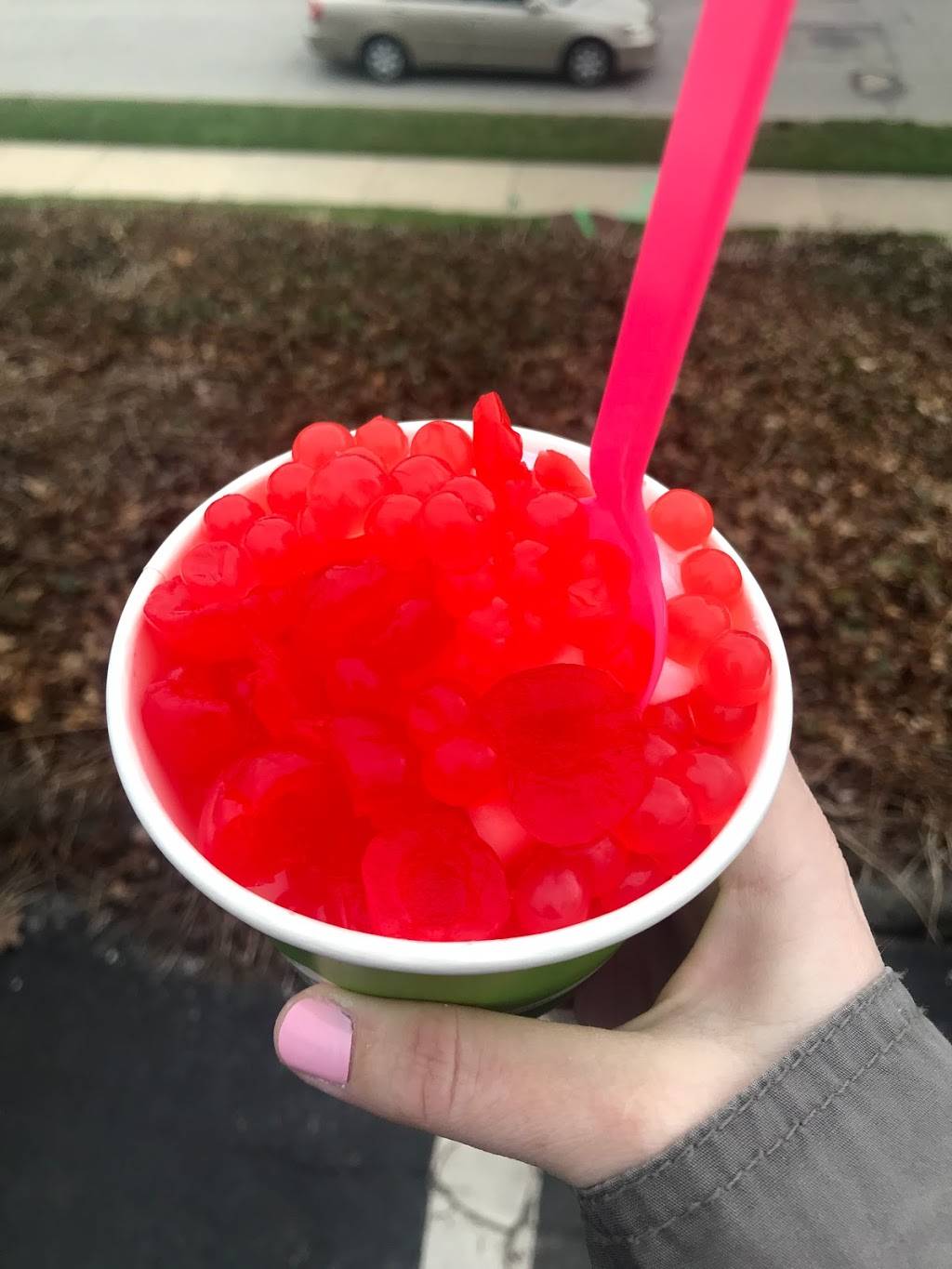 Lemonberry Frozen Yogurt | restaurant | 8483 Chippewa Rd, Brecksville, OH 44141, USA | 4405266999 OR +1 440-526-6999