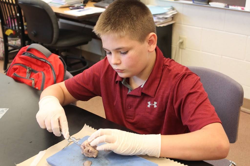 Aplebes Sushi Culichitown | restaurant | 619 W 84th Ave, Thornton, CO 80260, USA | 7204169584 OR +1 720-416-9584