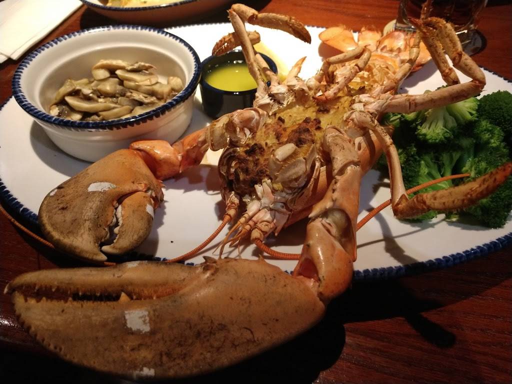 Red Lobster | restaurant | 1681 E Sternberg Rd, Muskegon, MI 49444, USA | 2317989586 OR +1 231-798-9586