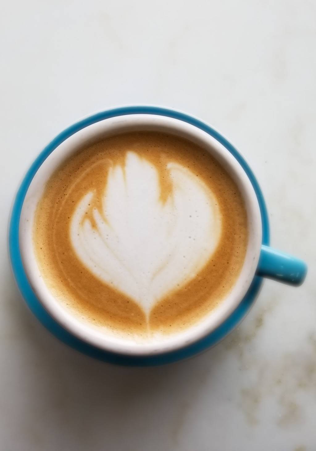 Lemon & Coriander | restaurant | 231 Magnolia Ave, Goleta, CA 93117, USA | 8058454300 OR +1 805-845-4300