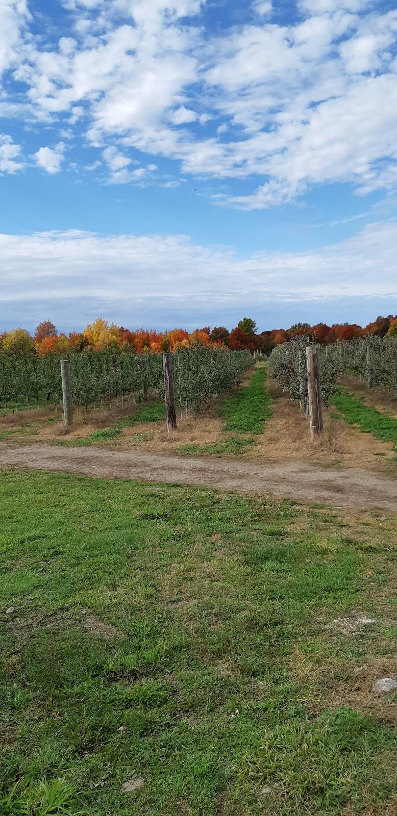 Flanklin | restaurant | 1019 QC-202, Hinchinbrooke, QC J0S 1E0, Canada | 4508272565 OR +1 450-827-2565