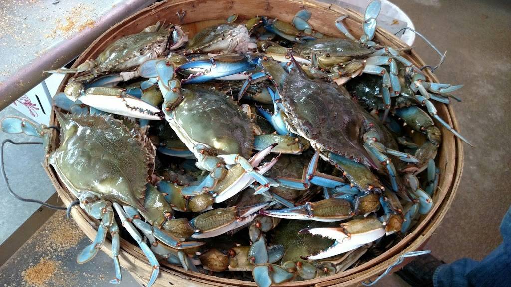 Nicks Farm & Crab Market | restaurant | 3720 Southwestern Blvd, Baltimore, MD 21229, USA | 4105251022 OR +1 410-525-1022
