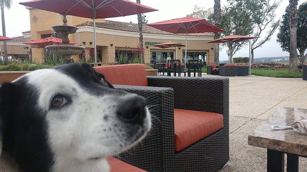 Starbucks | cafe | 27020 Alicia Pkwy #F, Laguna Niguel, CA 92677, USA | 9496432465 OR +1 949-643-2465