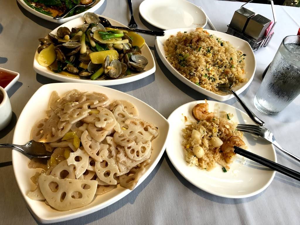 YHS - Yummy House South China Bistro | restaurant | 302 N Dale Mabry Hwy, Tampa, FL 33609, USA | 8135134788 OR +1 813-513-4788