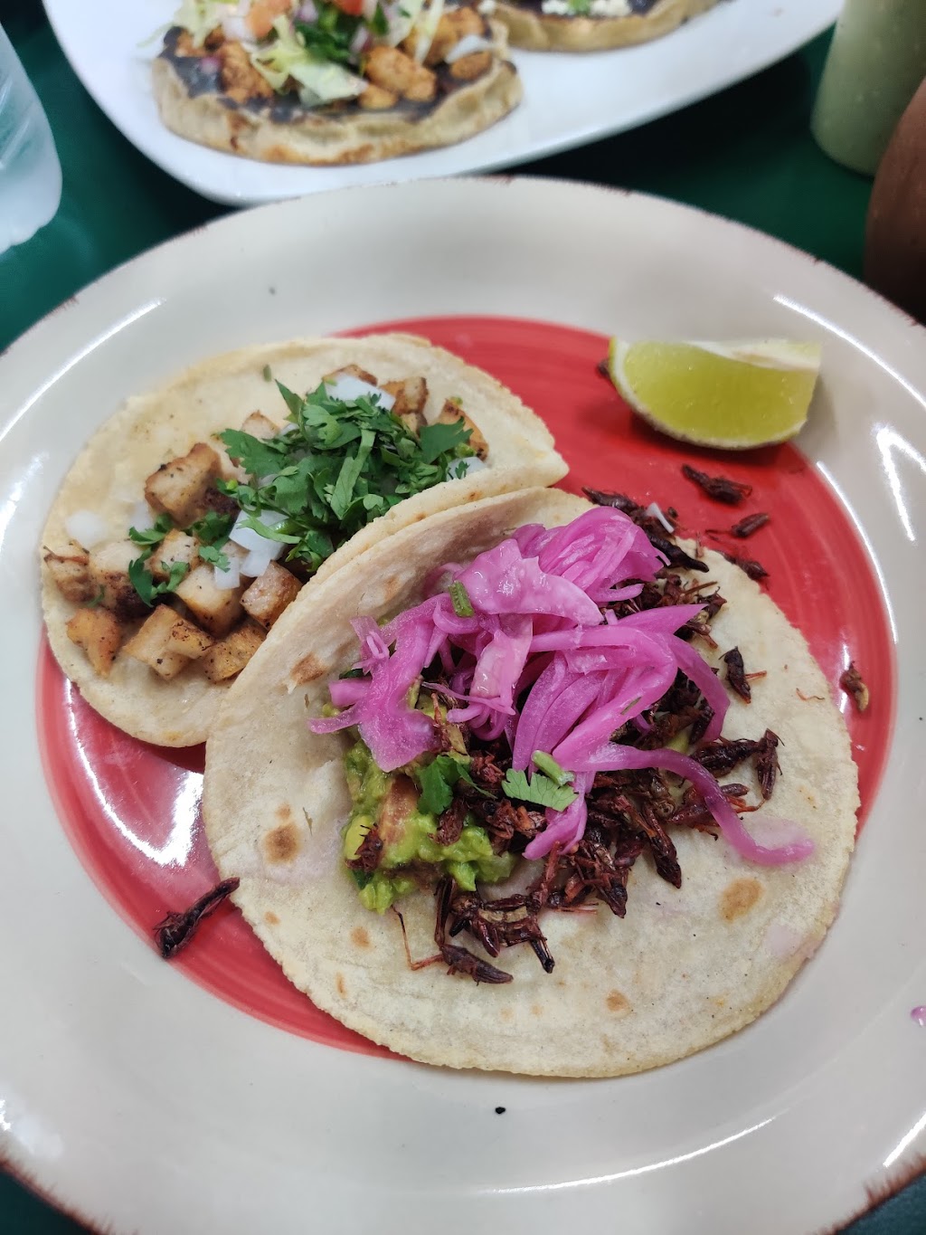 Frida’s Oaxacan Cuisine | restaurant | 2424 Nolensville Pike, Nashville, TN 37211, USA | 6154843125 OR +1 615-484-3125