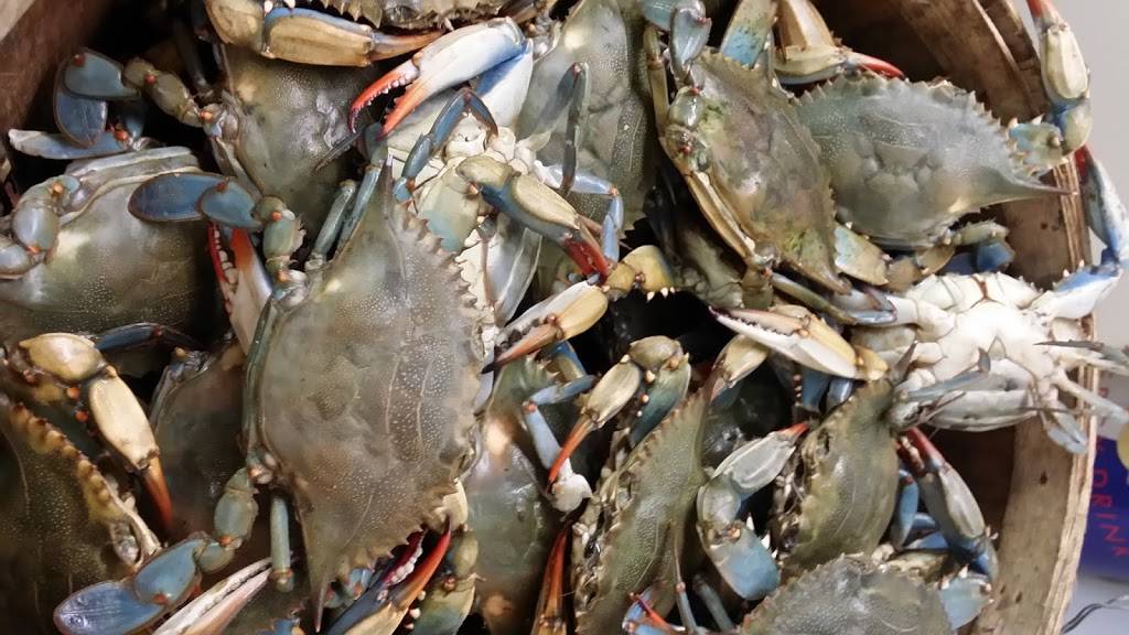 H&L Seafood LLC | restaurant | 3803 Ashley Phosphate Rd, North Charleston, SC 29418, USA | 8435527500 OR +1 843-552-7500