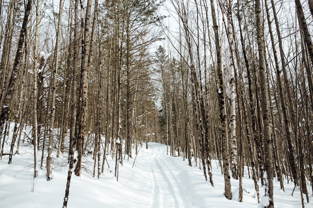 Mount Cabot Maple | restaurant | 83 Rowell Rd, Lancaster, NH 03584, USA | 6039915446 OR +1 603-991-5446