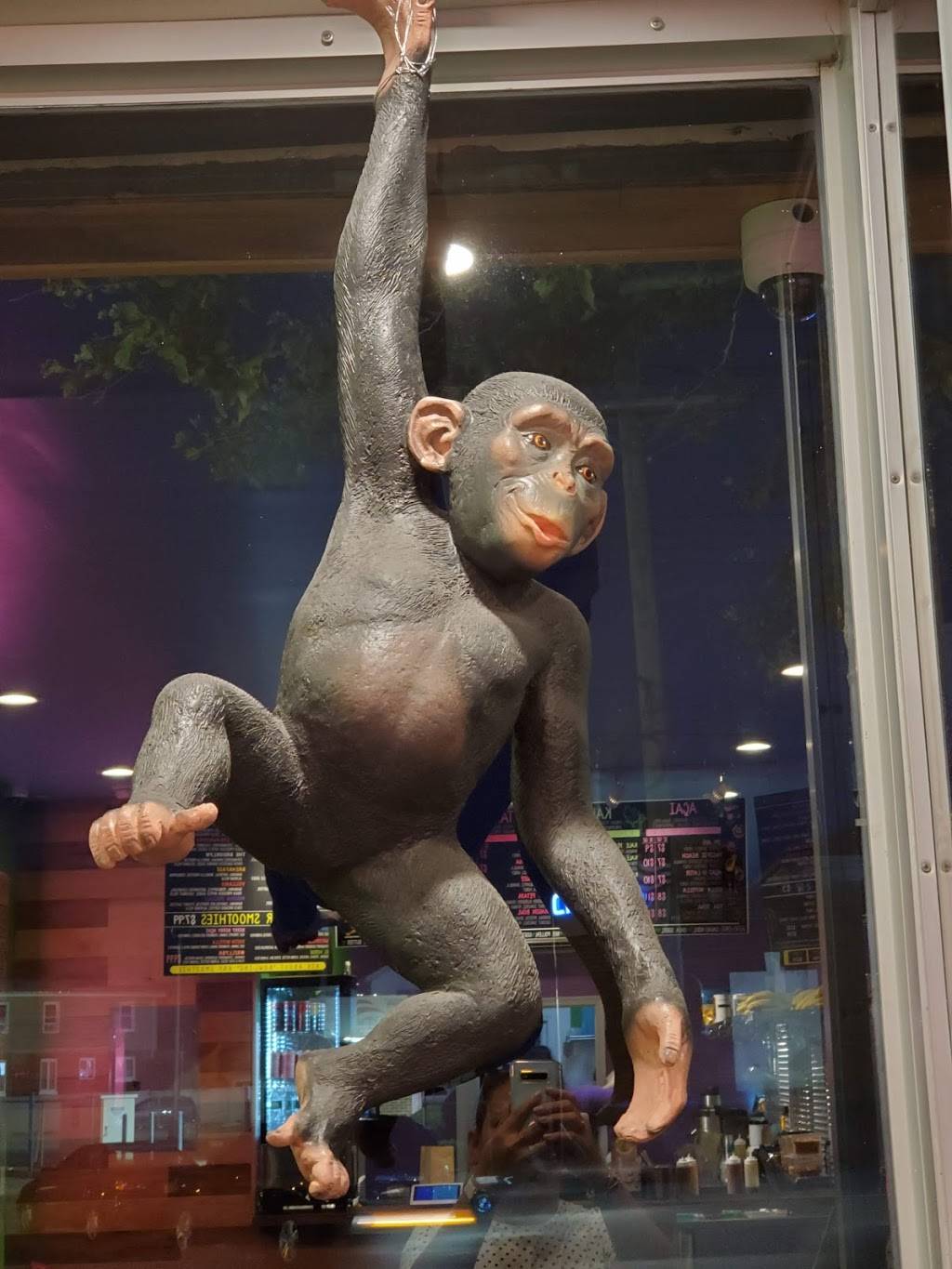 Baya Bar Mill Basin | restaurant | 6305 Avenue N, Brooklyn, NY 11234, USA | 7182415969 OR +1 718-241-5969