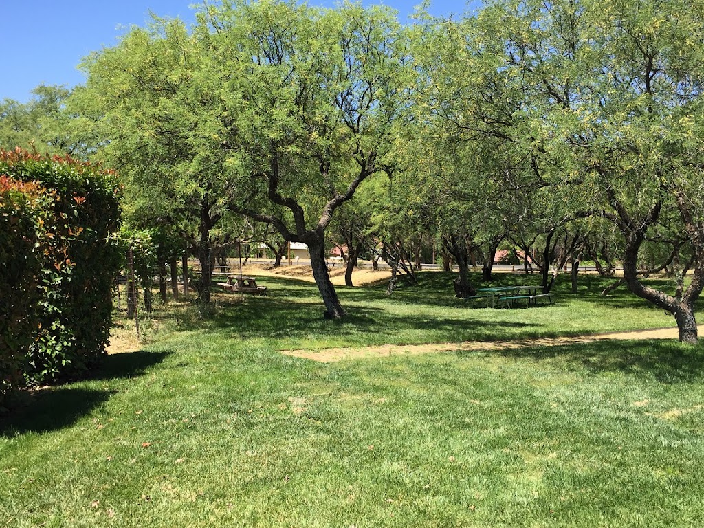 Javelina Leap Vineyard, Winery & Bistro | restaurant | 1565 N Page Springs Rd, Cornville, AZ 86325, USA | 9286492681 OR +1 928-649-2681