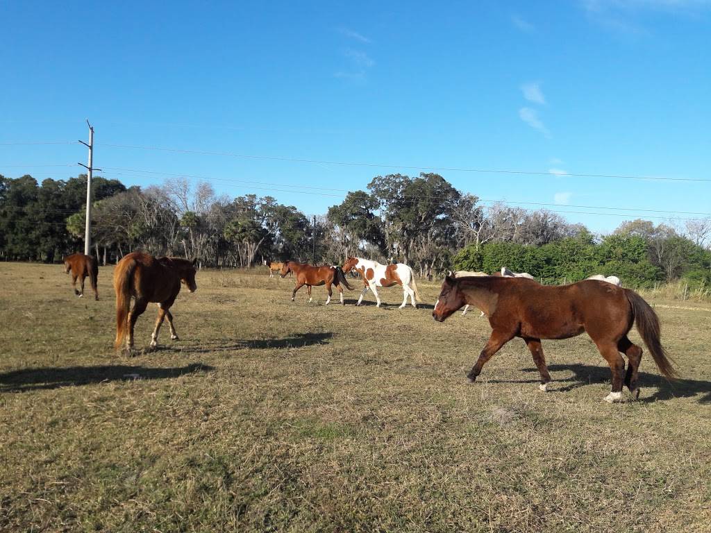 Grill At Imperial | restaurant | 9680 Buffalo Rd, Palmetto, FL 34221, USA | 9417233655 OR +1 941-723-3655