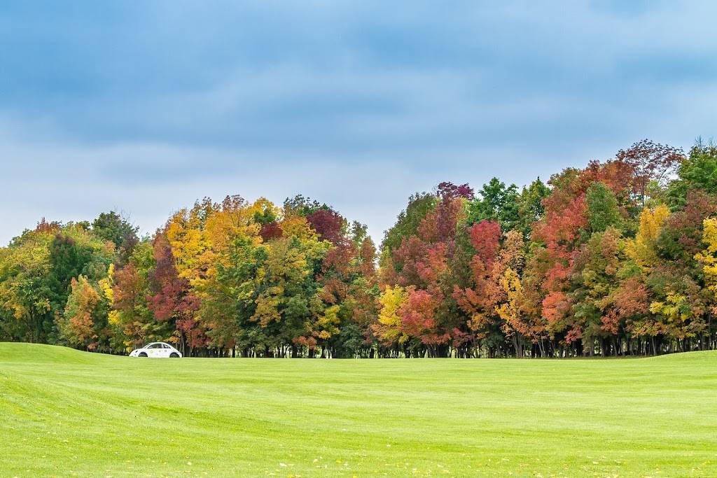 Stone Tree - Golf, Fitness and Banquets | restaurant | 318085 Hwy 6&10, Owen Sound, ON N4K 5N6, Canada | 5193767899 OR +1 519-376-7899