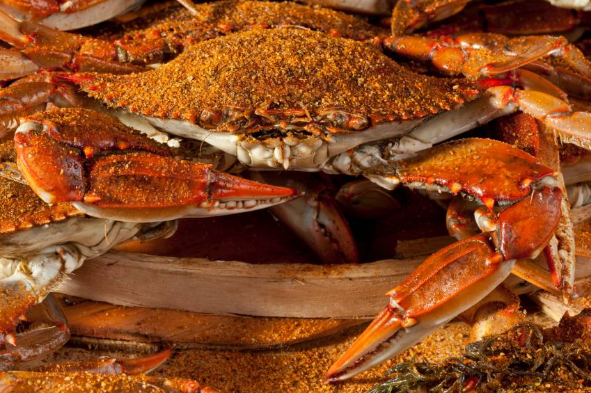 blue crabs unlimited | restaurant | 6109 Pine Ave, Elkridge, MD 21075, USA | 3019747964 OR +1 301-974-7964