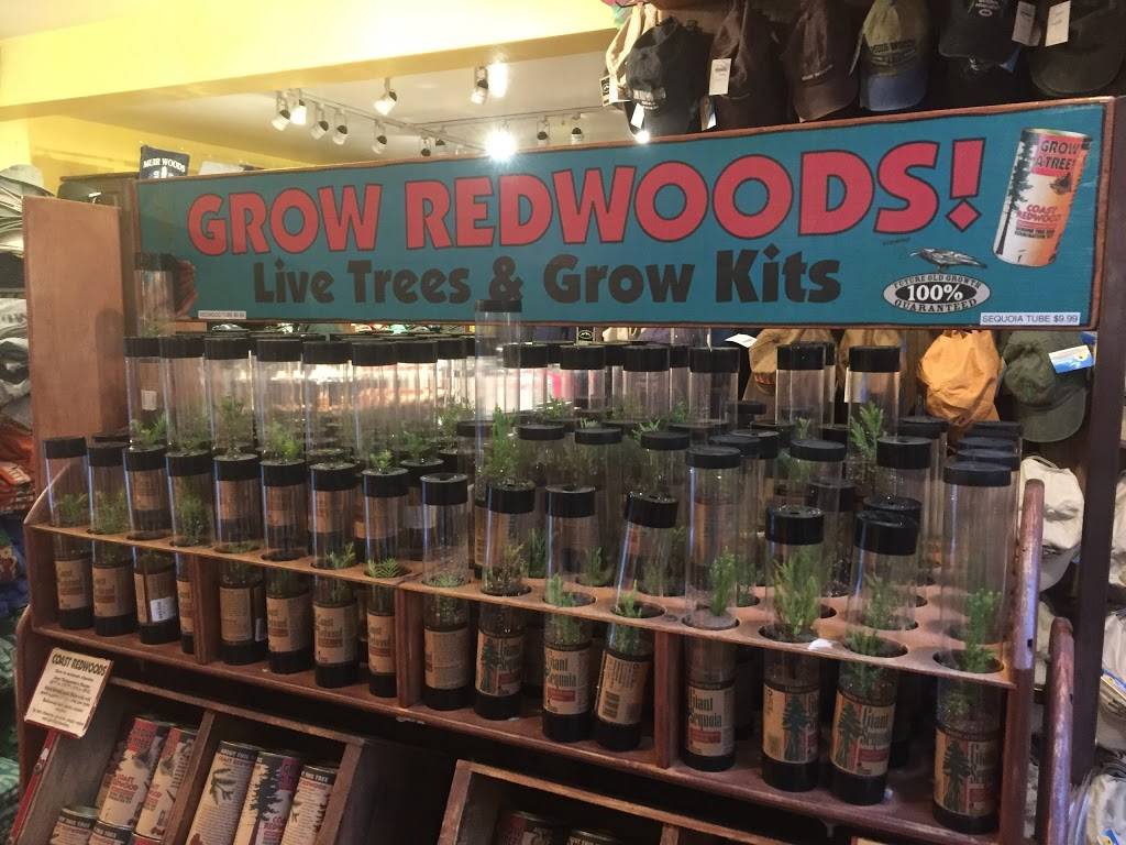 Muir Woods Trading Company | restaurant | 1 Muir Woods Rd, Mill Valley, CA 94941, USA | 4153887059 OR +1 415-388-7059