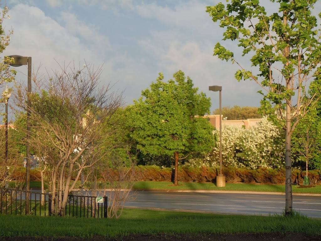 Starbucks | cafe | 30808 Lyon Center Dr East, New Hudson, MI 48165, USA | 2484462127 OR +1 248-446-2127