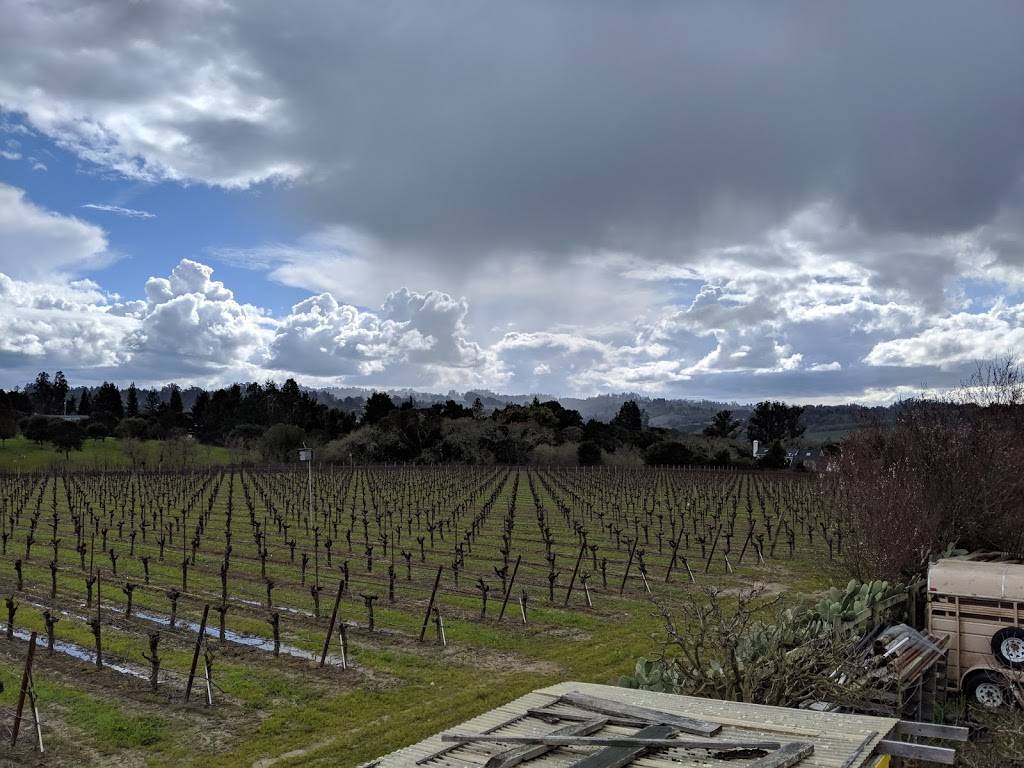 Cathys Corner | restaurant | 8063 Blackney Rd, Sebastopol, CA 95472, USA | 7072910645 OR +1 707-291-0645