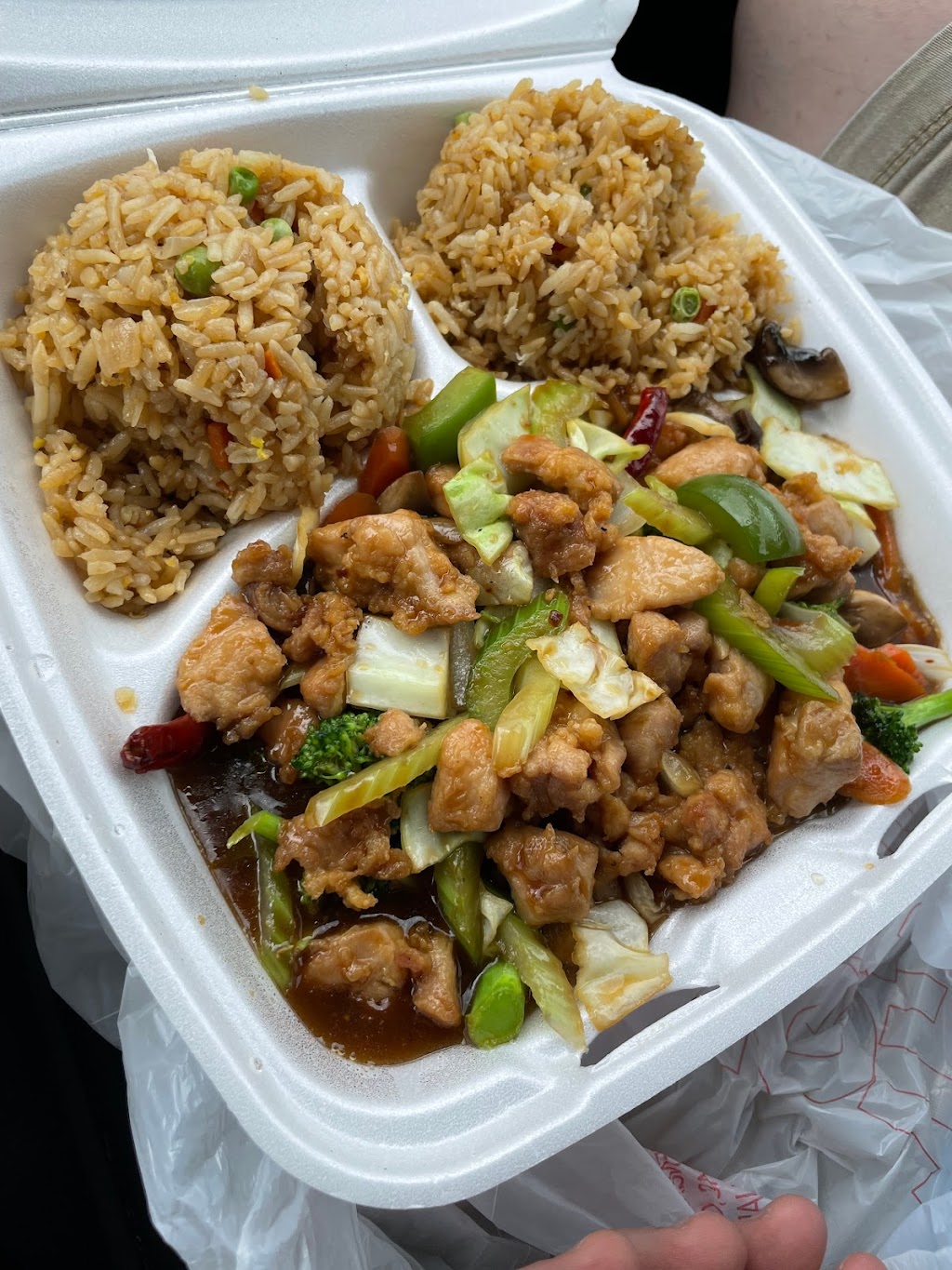 Beyond The Wok | restaurant | 811 Walnut St, Conway, AR 72032, USA | 5014729191 OR +1 501-472-9191