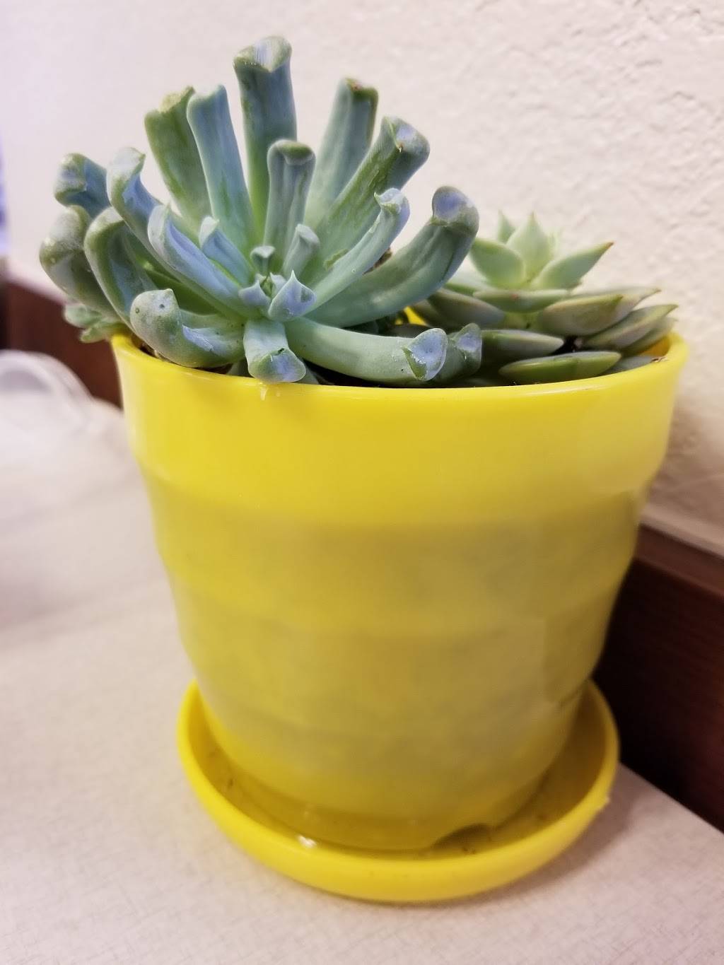 Chick-fil-A | restaurant | 2035 Prairie Center Pkwy, Brighton, CO 80601, USA | 3036551404 OR +1 303-655-1404