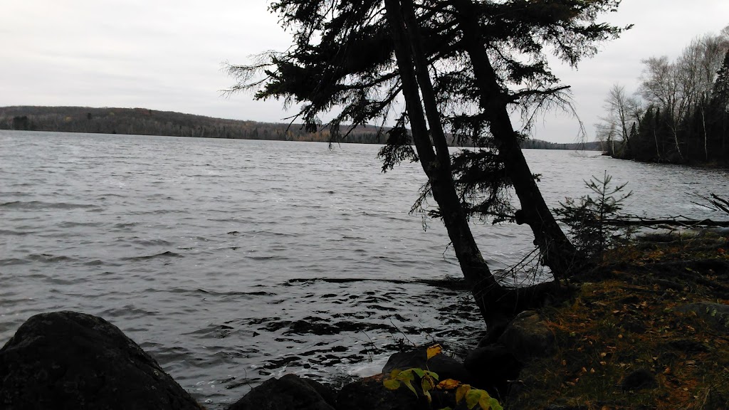 Nelson Lake Landing | restaurant | 13045 Dam Rd, Hayward, WI 54843, USA | 7156344175 OR +1 715-634-4175